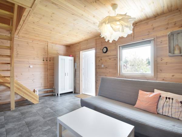 Pokój dzienny z aneksem 