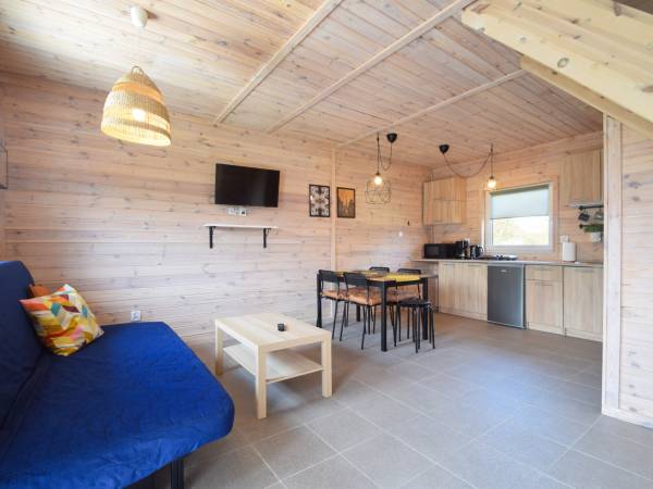 Pokój dzienny z aneksem 