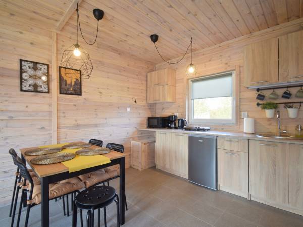 Pokój dzienny z aneksem 