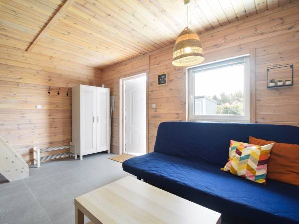 Pokój dzienny z aneksem 