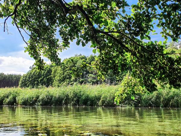 Domki całoroczne na Letniskowej 