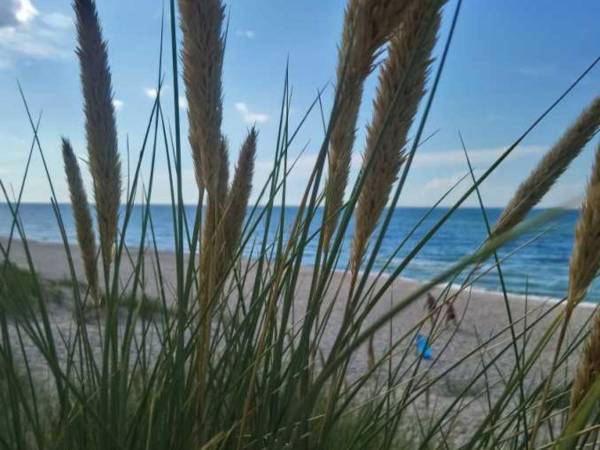 Domki na wodzie "Arka" z rowerem wodnym, parkingiem, 300 metrów do Morza ! Centrum Mielna 