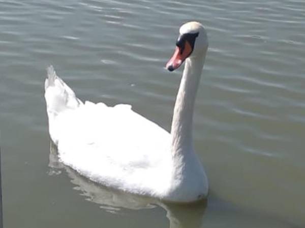 Domki na wodzie "Arka" z rowerem wodnym, parkingiem, 300 metrów do Morza ! Centrum Mielna 