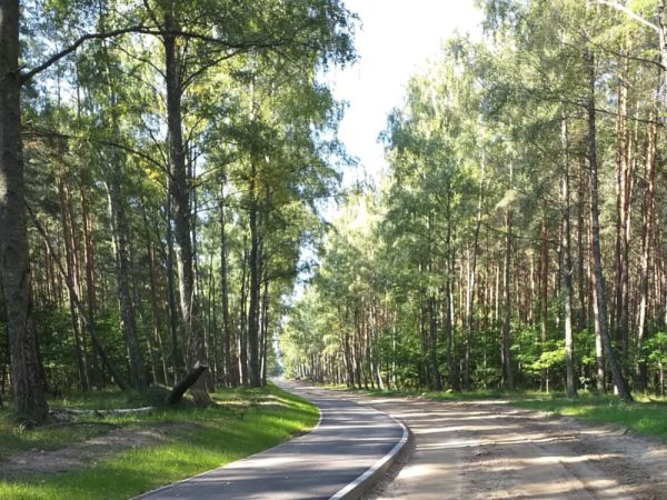 Domki Maldanin Mazury. Stylowe domki. Wakacje na Mazurach. 