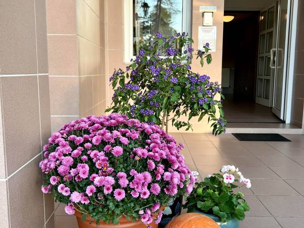 Astoria Usługi Hotelarskie