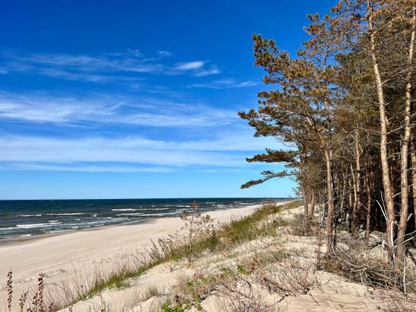 Astoria Usługi Hotelarskie