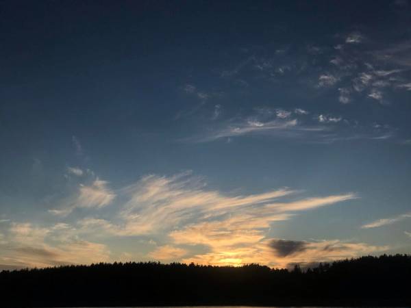 Domki całoroczne Natura Sad