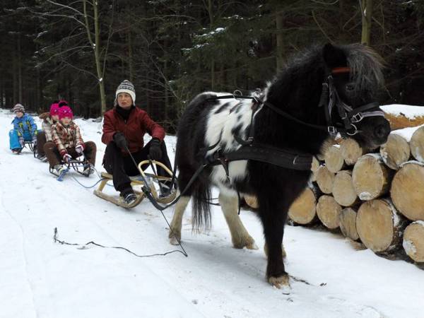 Zajęcia rekreacyjno - edukacyjne z elementami terapii