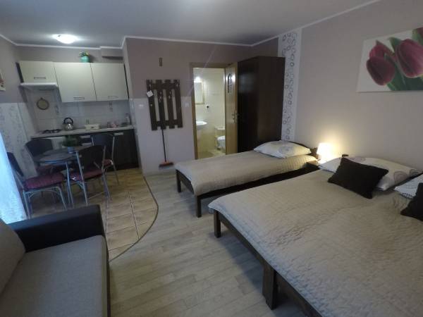 Pokój 4-5 osobowy z aneksem kuchennym