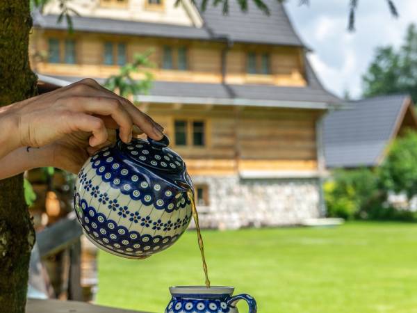 Miejsce do wypoczynku pod świerkami