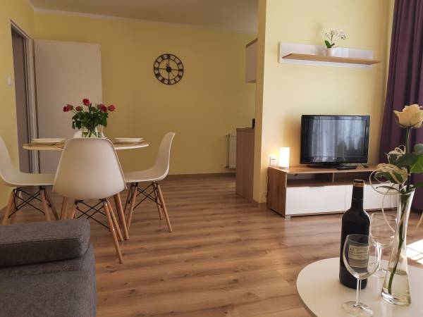 apartament z 1 sypialnią - I piętro