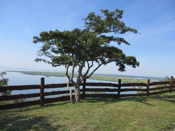 Domki Letniskowe Widok