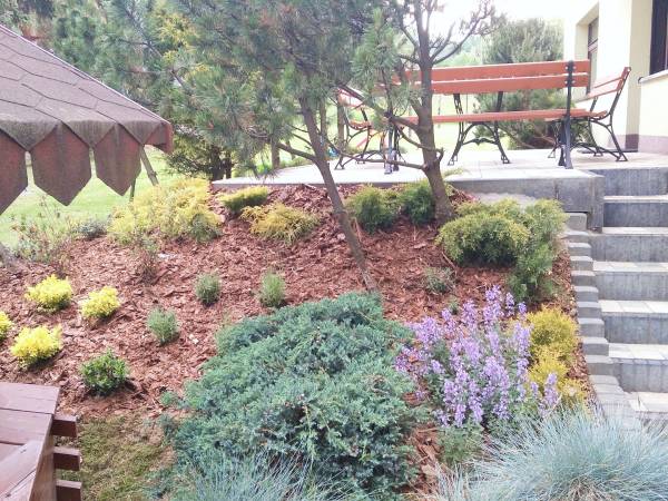 Domek na Modrzewiowej