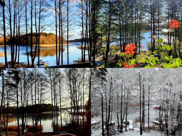 Widok z okien w 4 porach roku