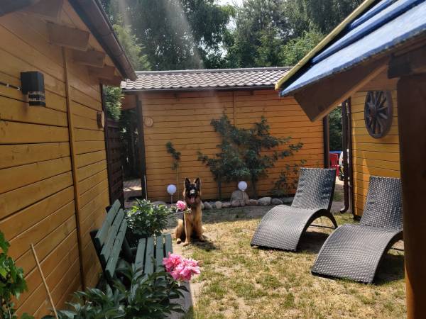 Bebe Domki- Liliowy Zakątek 