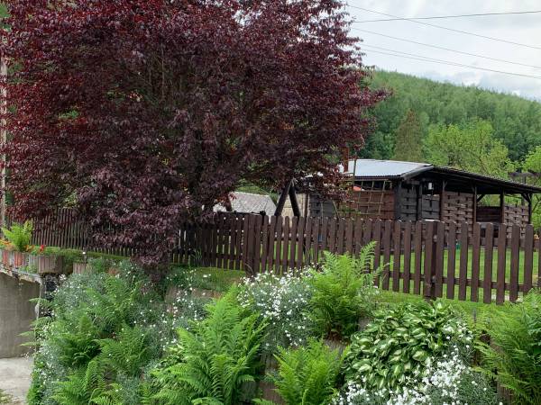  Noclegi Pod Muńcołem