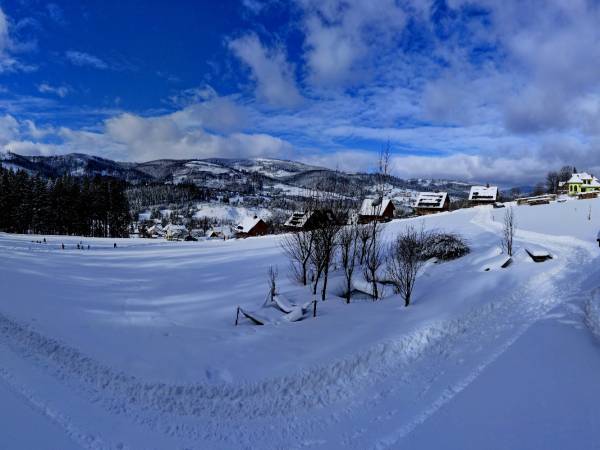 Domki wypoczynkowe Chatka Pod Laskiem