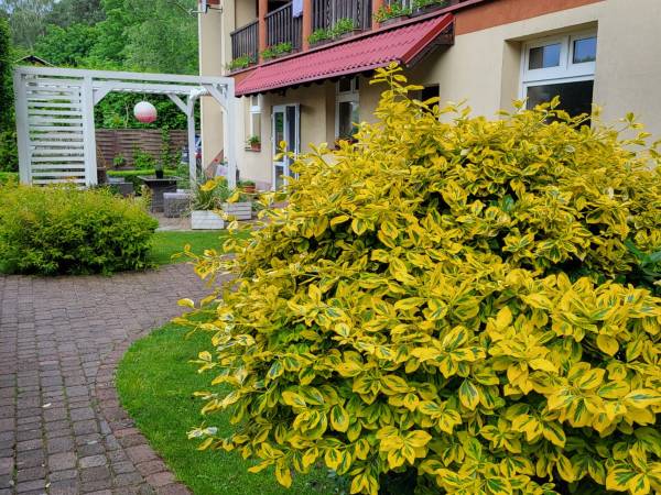 Zacisze Dom Wypoczynkowy