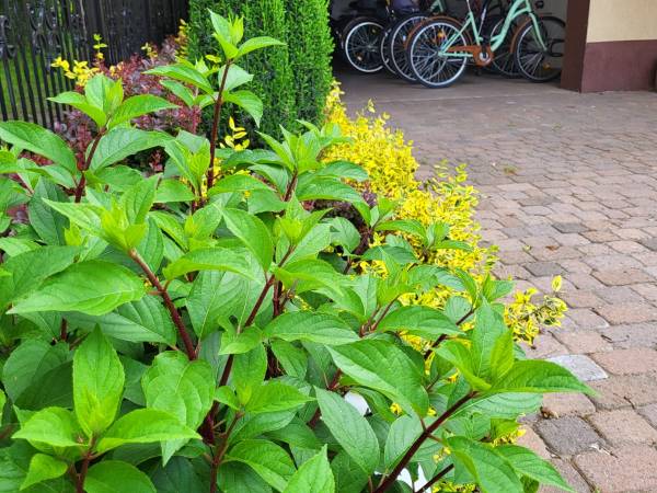 Zacisze Dom Wypoczynkowy