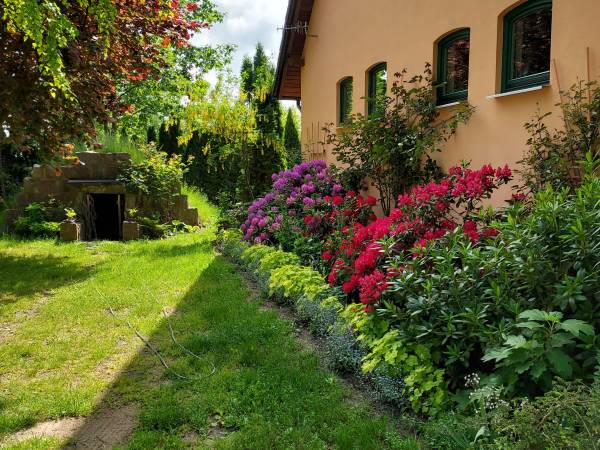 Kompozycja kwiatowa przy budynku gospodarczym