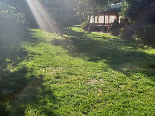 Pole namiotowe o świcie