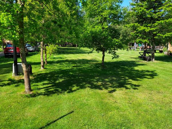 Przygotowanie pola namiotowego