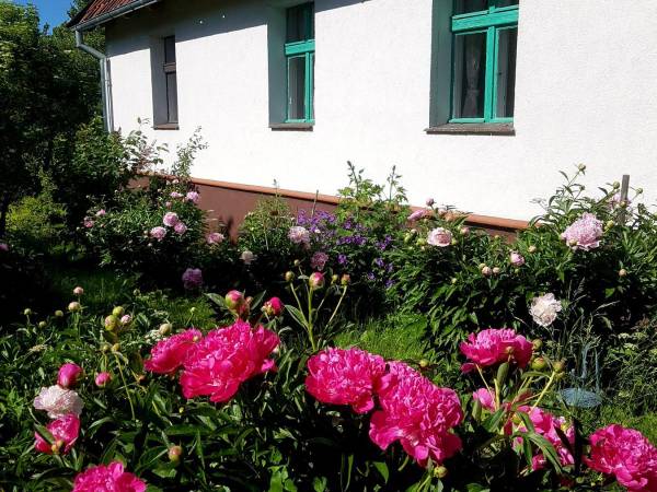 Leszczynowa Górka-Mazurskie Siedlisko w Silcu