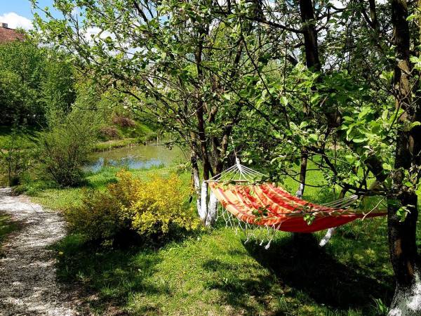 Leszczynowa Górka-Mazurskie Siedlisko w Silcu