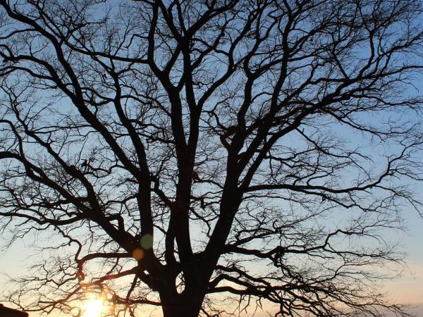 Leszczynowa Górka-Mazurskie Siedlisko w Silcu