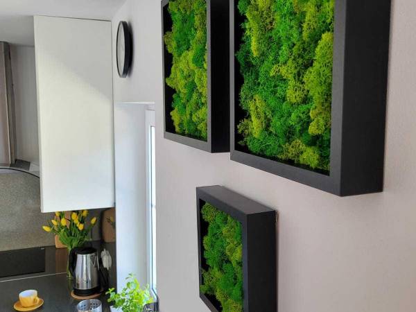 Cisza i Spokój Pieniny