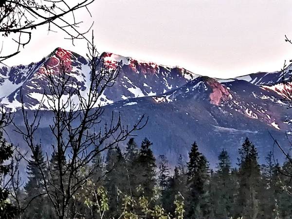 Gałowski Dworek widoczki z okna