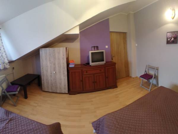 pokój nr 8 fioletowy