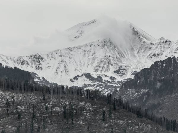 TWOJA CHATA Apartamenty