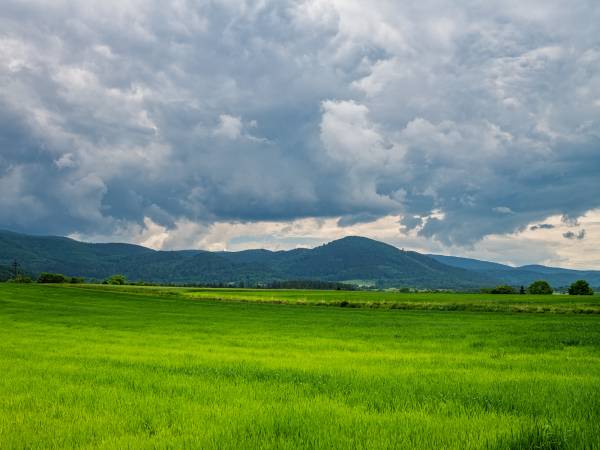 Sielanka pod Czarna Gora 