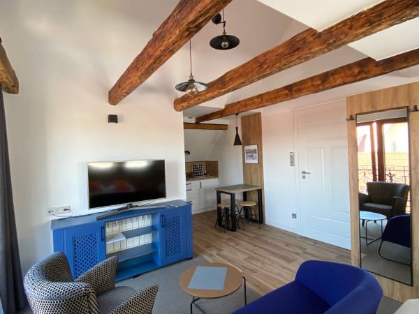 apartament trzyosobowy z aneksem kuchennym 