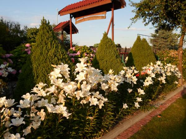 Agroturystyka Bobrowa Chata