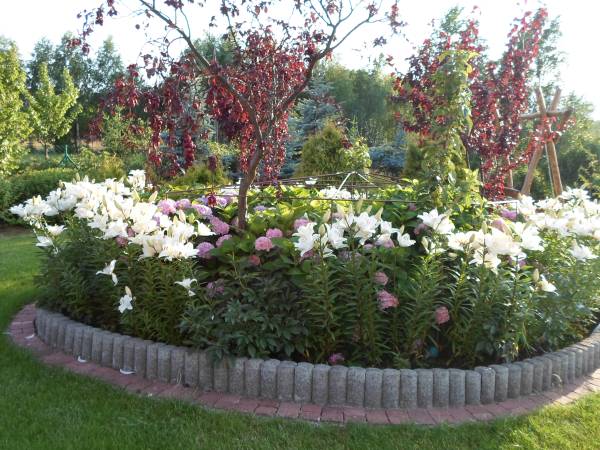 Agroturystyka Bobrowa Chata