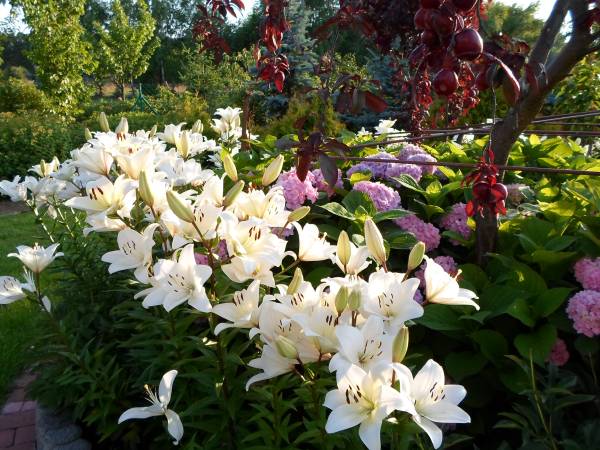 Agroturystyka Bobrowa Chata