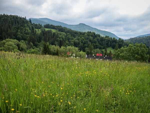 Widok w kierunku góry Horb