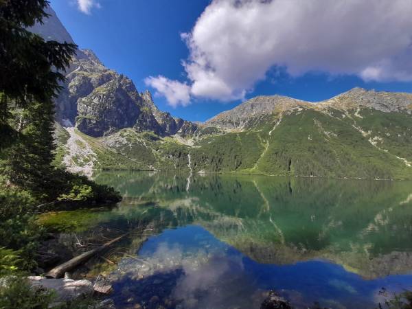 Dom na Rusińskim 11