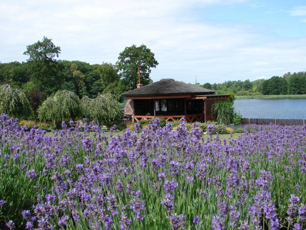 Agroturystyka Bobrowa Chata