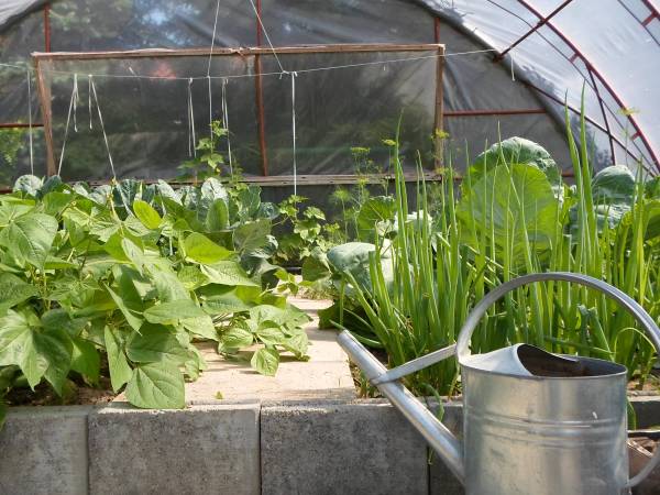 Agroturystyka Bobrowa Chata