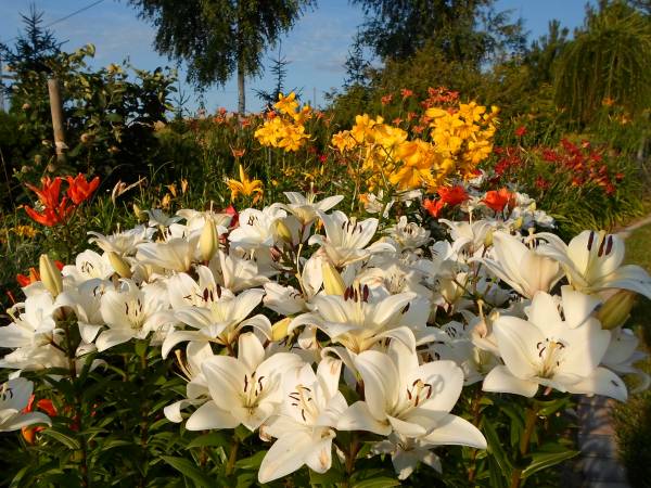 Agroturystyka Bobrowa Chata