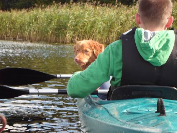 Agroturystyka Bobrowa Chata