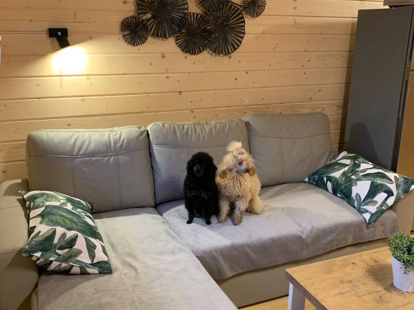 Domek letniskowy w Słajszewku