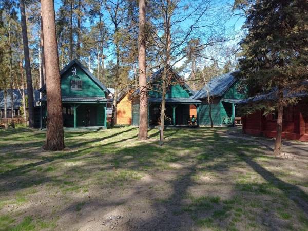 Domki na Wrzoska - Dębki