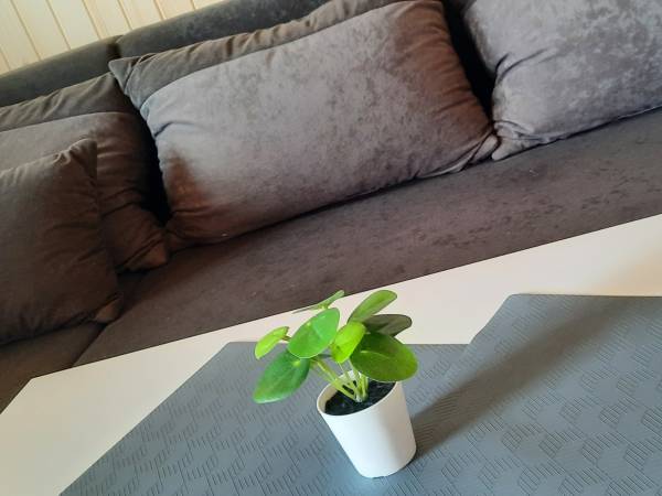 Słoneczny Zakątek w Gąskach NOWE DOMKI 