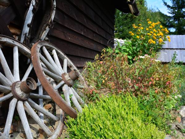 Pokoje i apartamenty Werchowyna