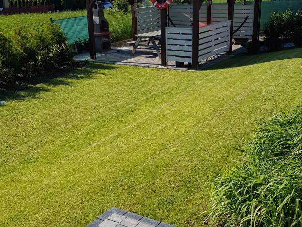 Wiata widok z ogrodu