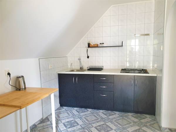 Apartament z widokiem na... jezioro, las, oraz ciszę w Swornychgaciach